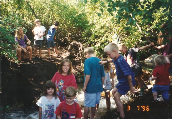 1996 Burnett Family Reunion at the Summit in Malad, ID